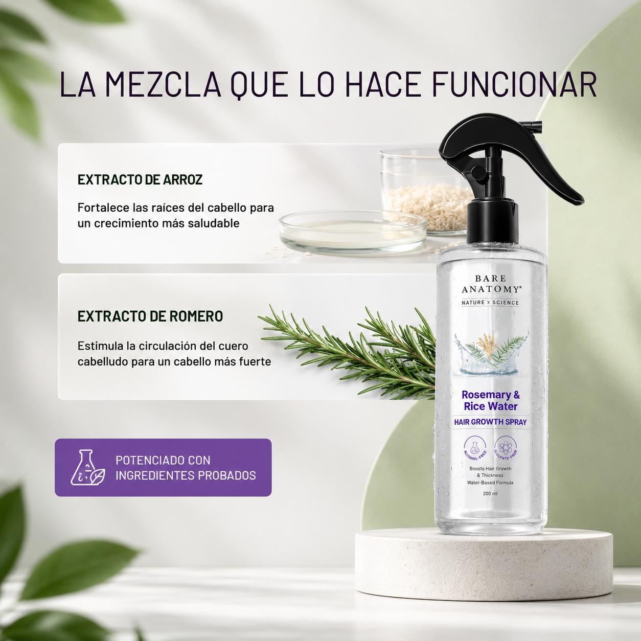 Spray de Agua de Romero con Extracto de Arroz + 3 Regalos Gratis