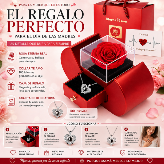 Estuche de Collar y Rosa Preservada 3 en 1