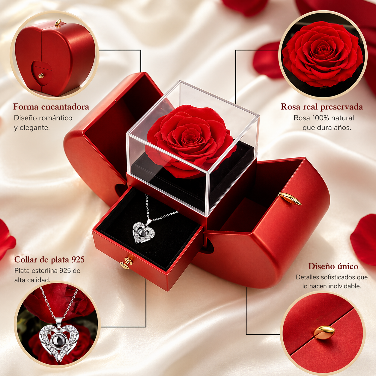 Estuche de Collar y Rosa Preservada 3 en 1